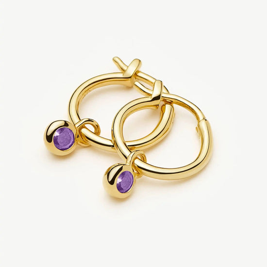 February Birthstone Mini Charm Hoop Earrings | 18k Gold Vermeil/Amethyst Earrings Missoma 