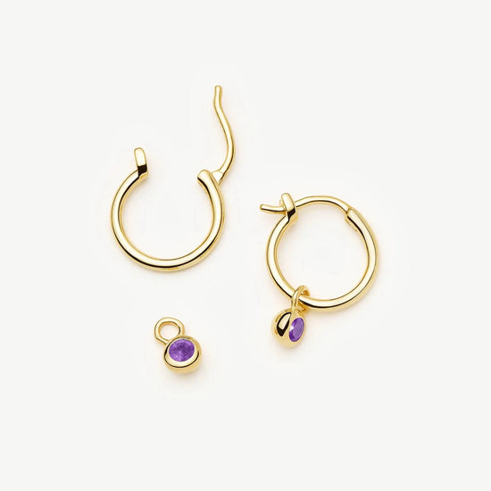 February Birthstone Mini Charm Hoop Earrings | 18k Gold Vermeil/Amethyst Earrings Missoma 