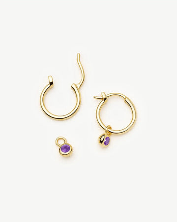 February Birthstone Mini Charm Hoop Earrings | 18k Gold Vermeil/Amethyst Earrings Missoma 