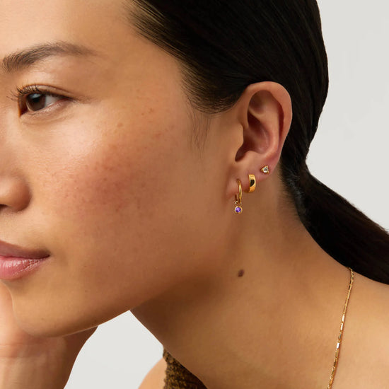 February Birthstone Mini Charm Hoop Earrings | 18k Gold Vermeil/Amethyst Earrings Missoma 