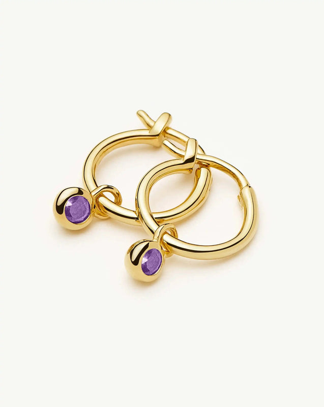 February Birthstone Mini Charm Hoop Earrings | 18k Gold Vermeil/Amethyst
