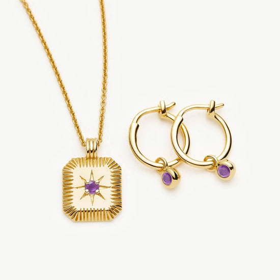 February Birthstone Necklace & Charm Earrings Set | 18k Gold Vermeil/Amethyst Necklaces Missoma 