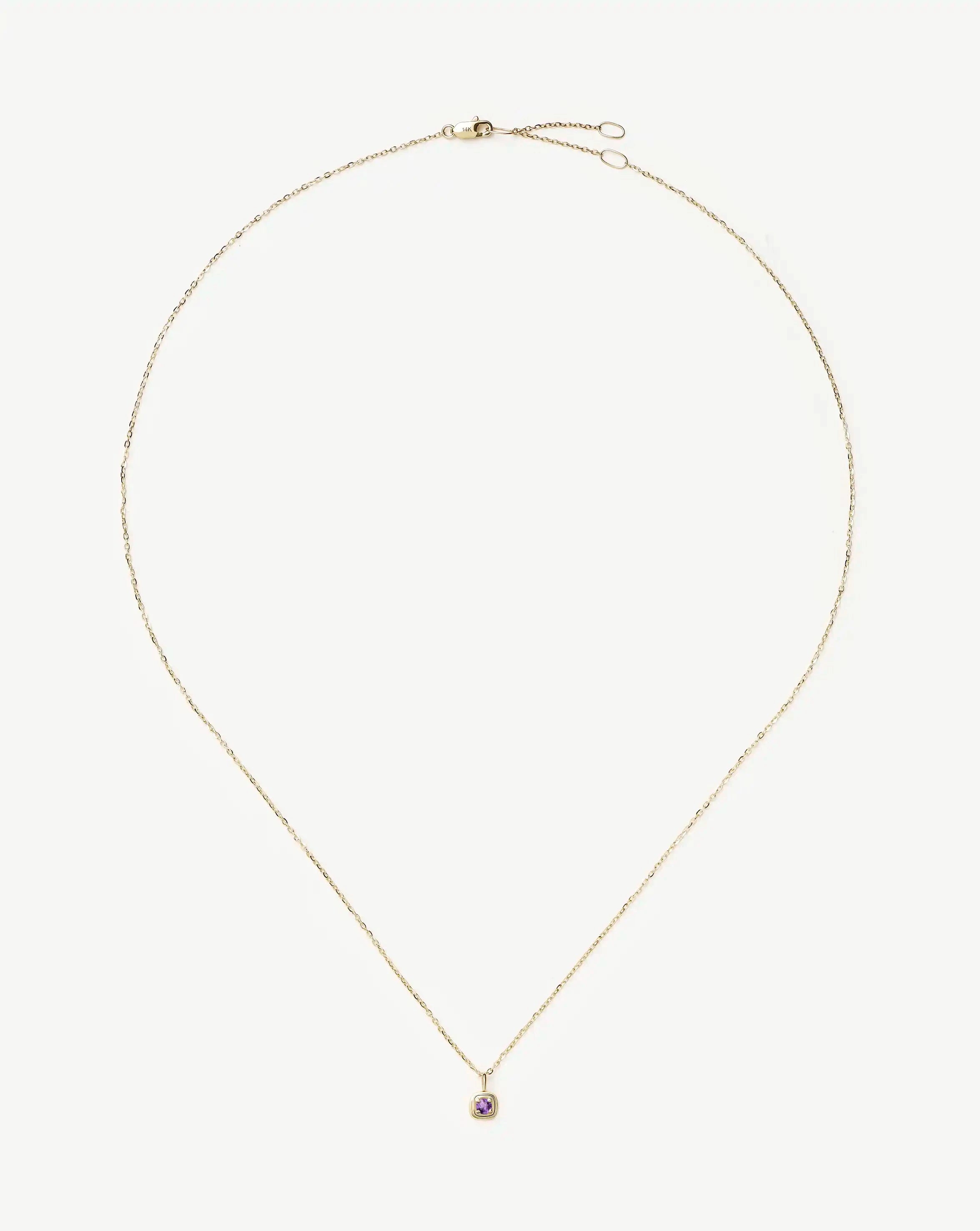 Fine February Birthstone Pendant Necklace | 14k Solid Gold/Amethyst Necklace Missoma 