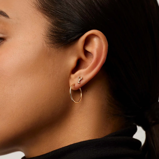 Fine Lobster Single Stud Earring | 14k Solid Gold Earrings Missoma 