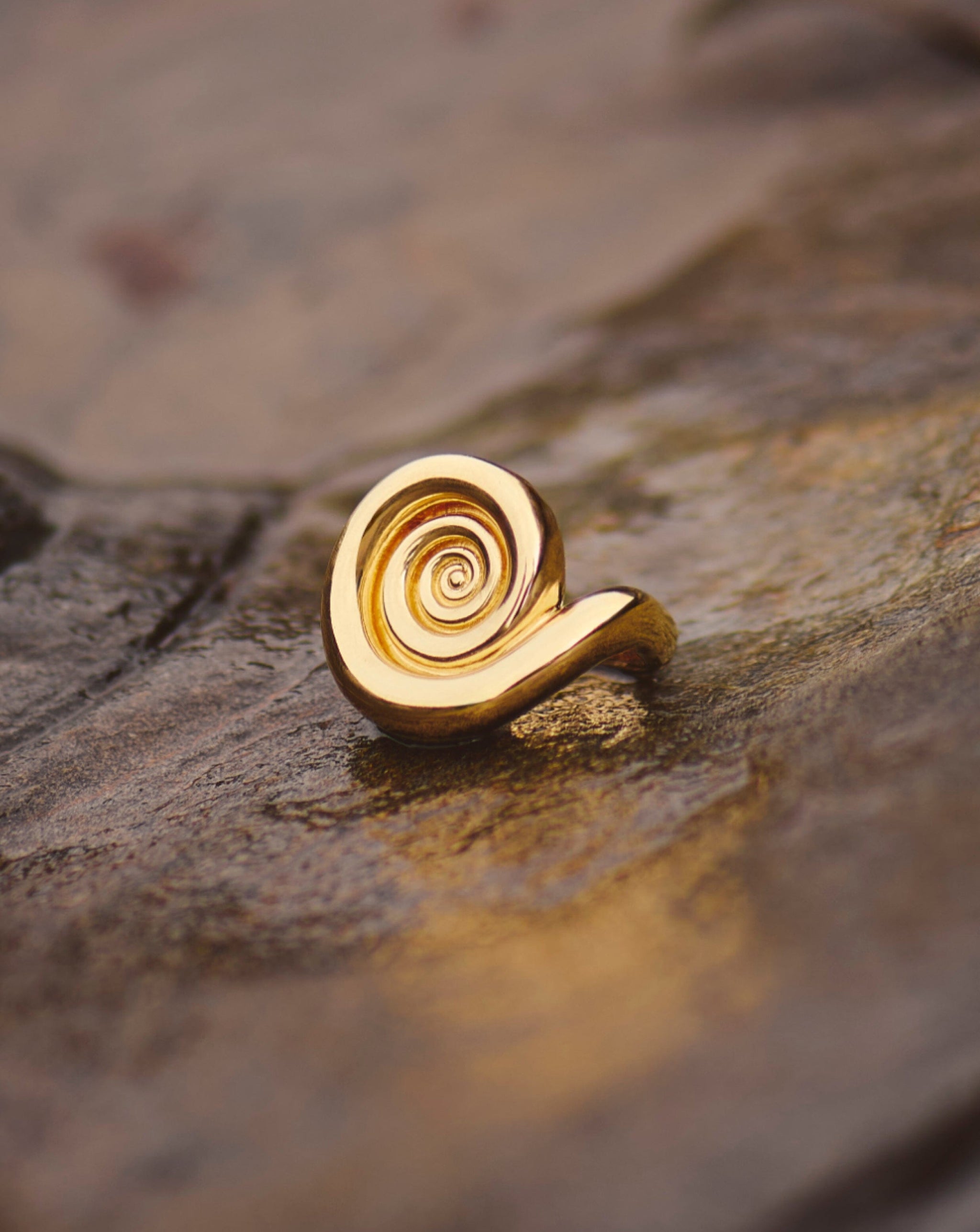 Spiral Statement Ring | 18k Gold Plated Rings Missoma 