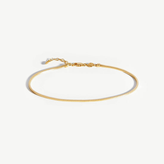 Lucy Williams Square Snake Chain Anklet Anklets Missoma 
